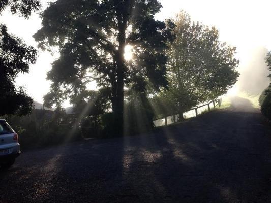 Queen Mary Falls yakınındaki en iyi oteller hangileri? Killarney Oda fotoğraf